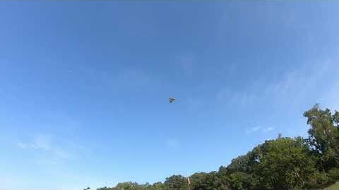 Dollar Store Foam board Delta Wing !!!