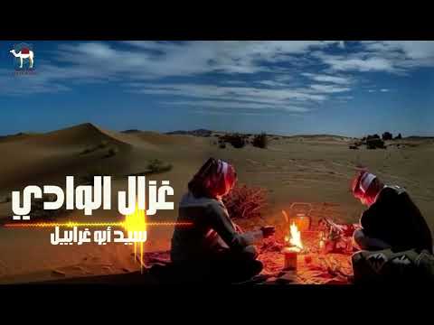 سيد أبو غرابيل غزال الوادي