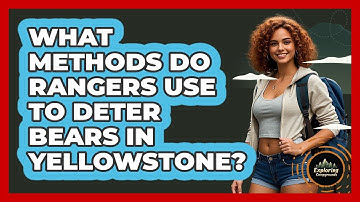 What Methods Do Rangers Use To Deter Bears In Yellowstone? - Exploring Campgrounds