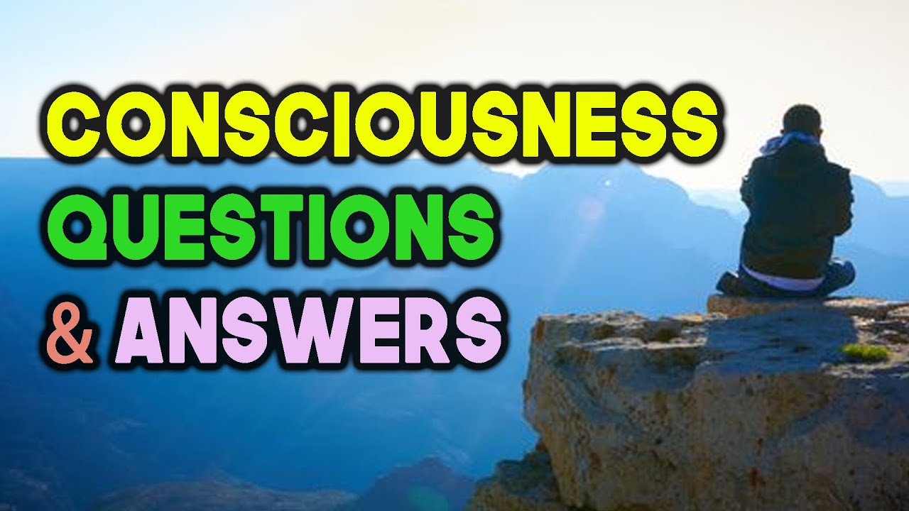 Find your Purpose in Life Surah 12 Joseph Meditation Q & A Sufi