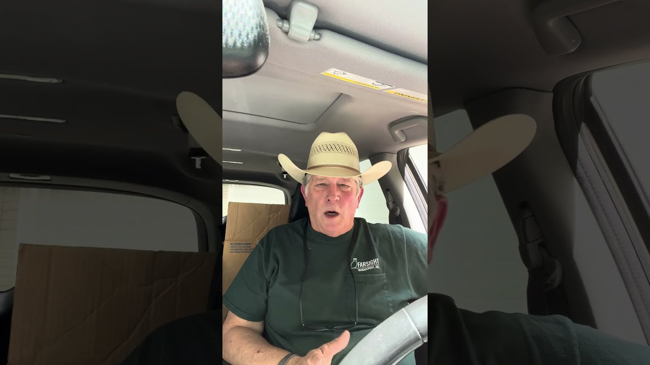 Handling Bat Guano in Attics: What You Need to Know About Histoplasmosis and Sampling