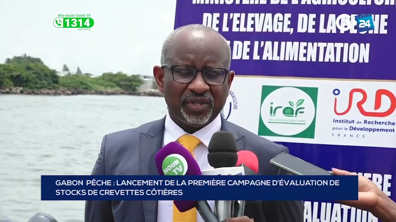 GABON - LANCEMENT DE LA PREMIÈRE CAMPAGNE D’ÉVALUATION DE  STOCKS DE CREVETTES CÔTIÈRES