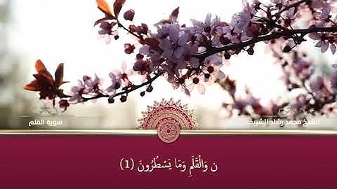 سورة القلم بصوت القارئ الشيخ محمد رشاد الشريف رحمه الله ( آيات مكتوبة )