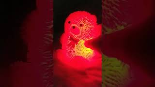 18 Декабря 2022 Г.