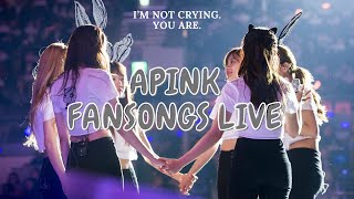 English lyrics | Apink Fansongs Live Compilation