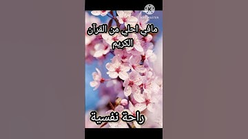 ما في احلى من القران الكريم تلاوه تنسيك هموم الدنيا راحه نفسيه لا توصف #قران_كريم #قران #راحه_نفسيه