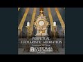 Perpetual 247 eucharistic adoration prayer mission