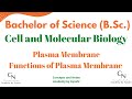 Plasma membrane || Plasmalemma | Functions of plasma membrane | For B.Sc students | Concepts &amp; Notes