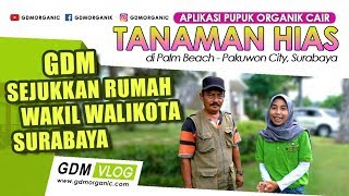 Pupuk Organik GDM Untuk Tanaman Hias 1Liter