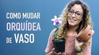 Como MUDAR ORQUÍDEA PHALAENOPSIS para VASO de BARRO