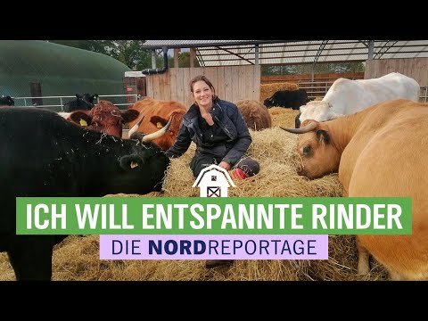 Vom Aussterben bedroht - das Pustertaler Rind | Unser Land | BR Fernsehen