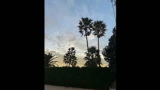 say yes to heaven- lana del rey (guitar loop) full say yes to heaven- lana del rey (guitar loop) full
