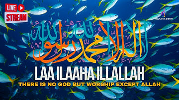 LAILAHAILLALLAH : Daily Dzikir for Stress Relief #36
