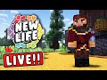 MY FIRST LIVE STREAM FROM NEW LIFE SMP!!! image