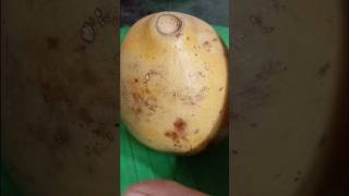 Healthy &Testy Bel Sharbat Benefits by Baba Ramdev #belsharbat #summerdrink #healthyhabits #trending
