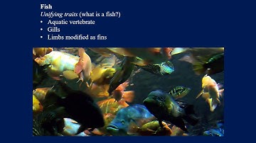 Lab 9 Lecture: Part 1 - Introduction