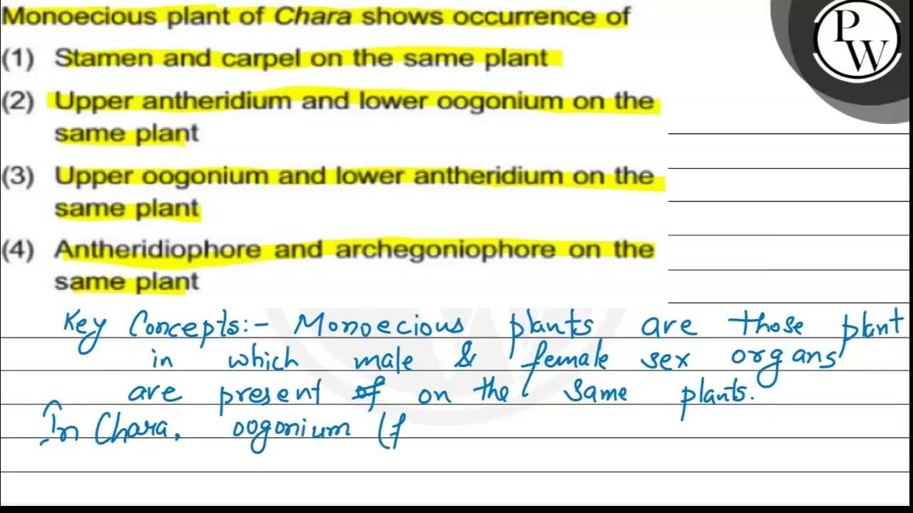 Monoecious plant of Chara shows occurrence of (1) Stamen and carpel