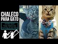 Chaleco para gato (diseñó base)