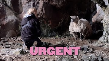 Daring Rescue of Britain