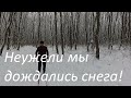 Лыжная прогулка по лесу Кругленькому. Выпал снег, похолодало до минуса семи, стабилизатор глючит.