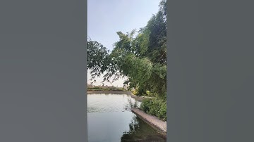ماتيسر من سورة المؤمنون