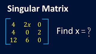 Singular Matrix Explained | Determinant Zero Concept