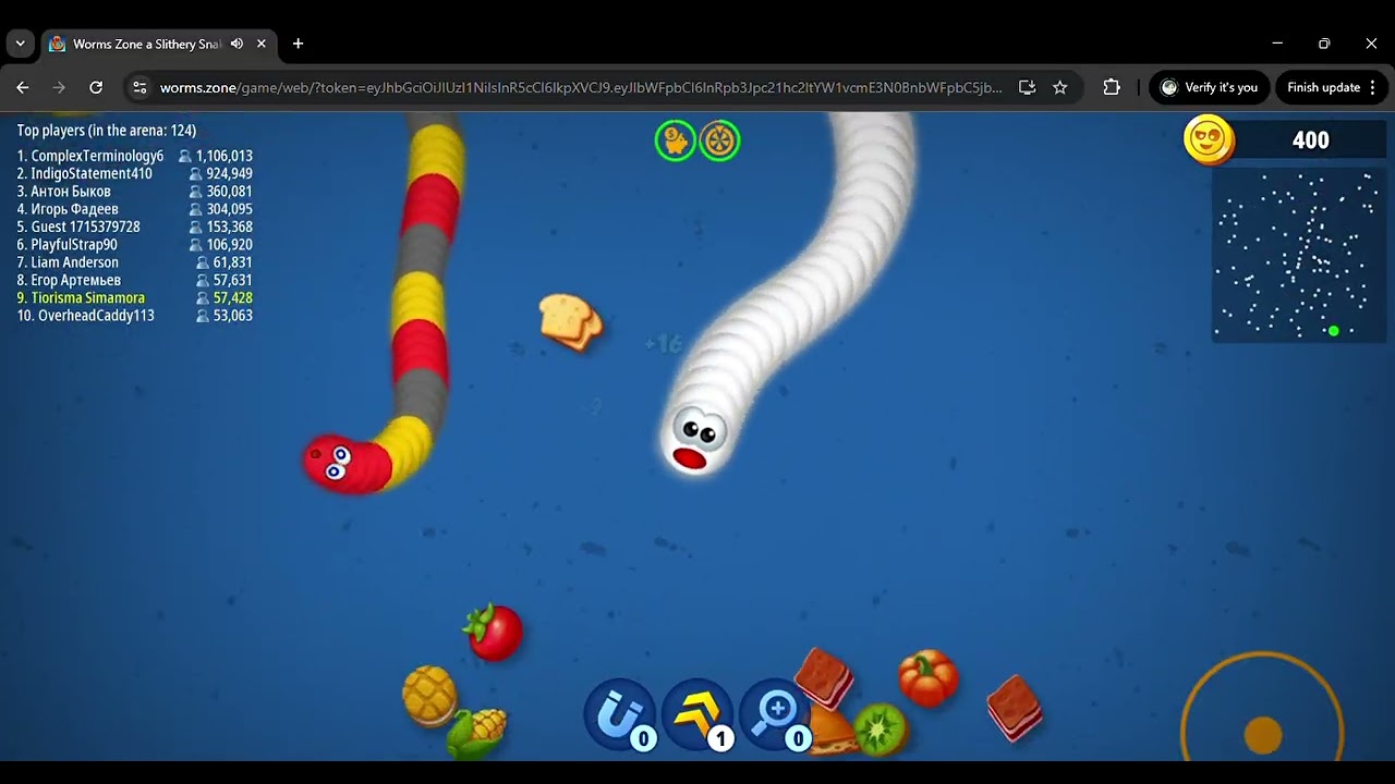 Worms Zone Game