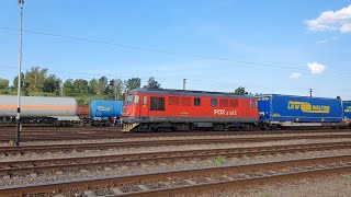 Marfar Fox Rail sosește din Ungaria în Gara Episcopia Bihor- 22.05.2023