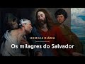 Homilia Diária | Os milagres do Salvador (Sexta-feira depois da Epifania)