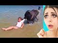 Unbelievable Animals That Changed Peoples Lives