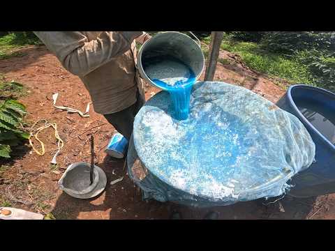 BORDEAUX MIXTURE  FIRST ROUND SPRAY FOR ARECANUT |BCI COPPER SULPHATE