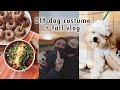 diy costume for kinsley + cooking fall recipes | XO, MaCenna Vlogs