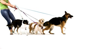 TaskRay: Modern Project Management