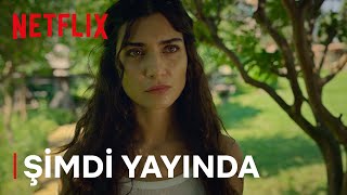 Zeytin Ağacı Şimdi Yayında Netflix