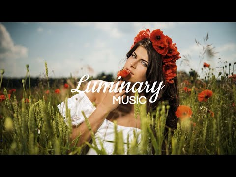 J. Damur -