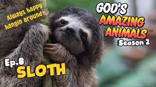 Fun Facts for Kids about Sloths | God's Amazing Animals (S2 Ep8)