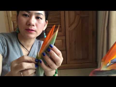 5 cách cắm hoa thiên điểu tại kienthuccuatoi.com