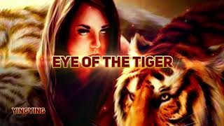 Eye of the Tiger 猛虎之眼 Survivor [ 中英歌詞 ] 