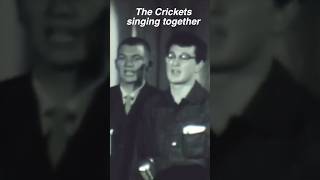 Rare - Buddy Holly And The Crickets Singing - Kptv Outtake Resimi