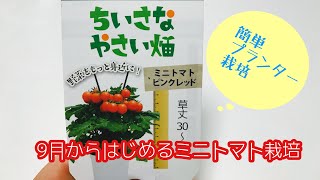 動画で家庭菜園『9月からはじめるミニトマト栽培…ピンクレッド(矮性)プランターにお薦めの品種』Ｈ30.9.12