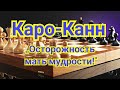 Каро-Канн. Система Петросяна-Смыслова.  Карпов-Горт.1-0 Бугойно.1978г.