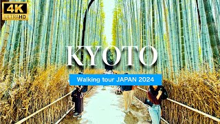 ‍♂Stunning Kyoto Bamboo Forest Walking Tour  MUST SEE!  4K Japan travel video