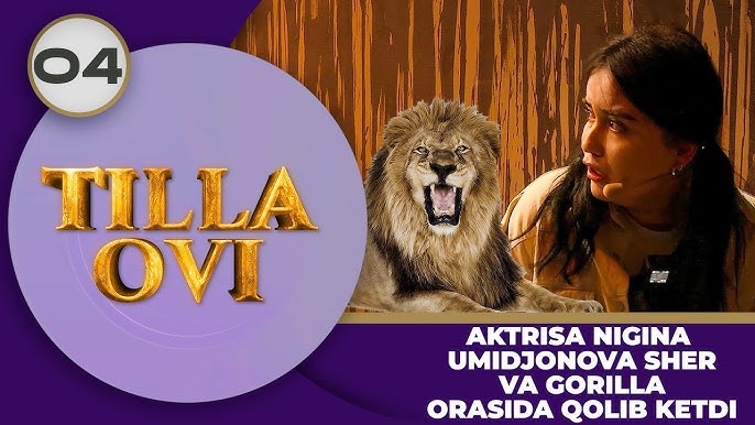 Tortta jojalar tungi klubda tort oyoqqa turishadi, ular itga oxshash uslubga ega bolishadi va ularni Tortta jojalar tungi klubda tort oyoqqa turishadi, ular itga oxshash uslubga ega bolishadi va ularni