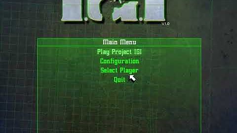 IGI 1 Unlimited Ammo cheat code = Gameusttad