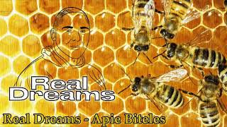 Real Dreams - Apie Biteles