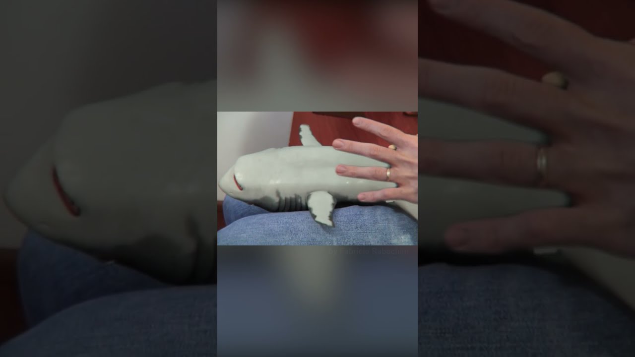 Surprised Baby Shark Tbt Shorts