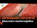 รู้ทันความต่างปลาแซลมอน-ปลาเทราต์ ก่อนเข้าปากผู้บริโภค : รู้เท่ารู้ทัน