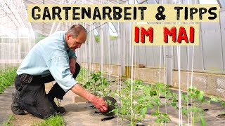 Gartenarbeit im Mai 2024 - Tomaten Gurken, Paprika, Artischocken - Pflanzen und säen im Gemüsegarten
