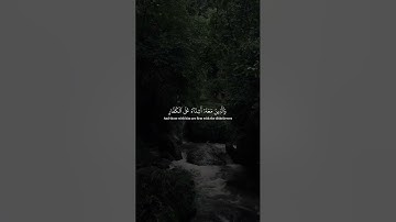 القارئ :-( ياسر الدوسري)سورة :-(الفتح) #قران #ياسر_الدوسري #qur49n #quran #اكسبلور #سورة_الفتح