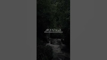 القارئ :-( ياسر الدوسري)سورة :-(الفتح) #قران #ياسر_الدوسري #qur49n #quran #اكسبلور #سورة_الفتح